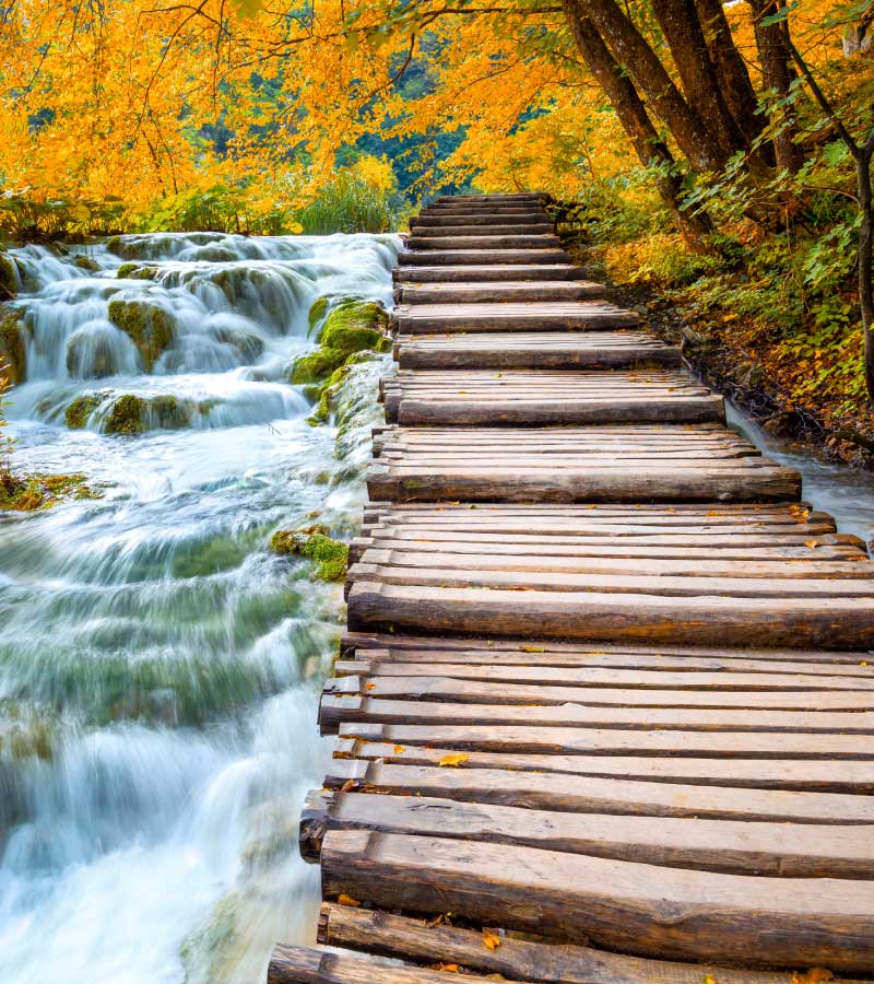 Scenic waterfalls and wooden path