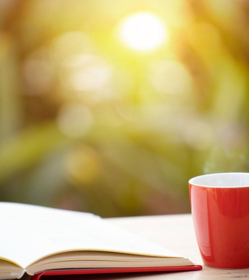 Cup of coffee with book in garden